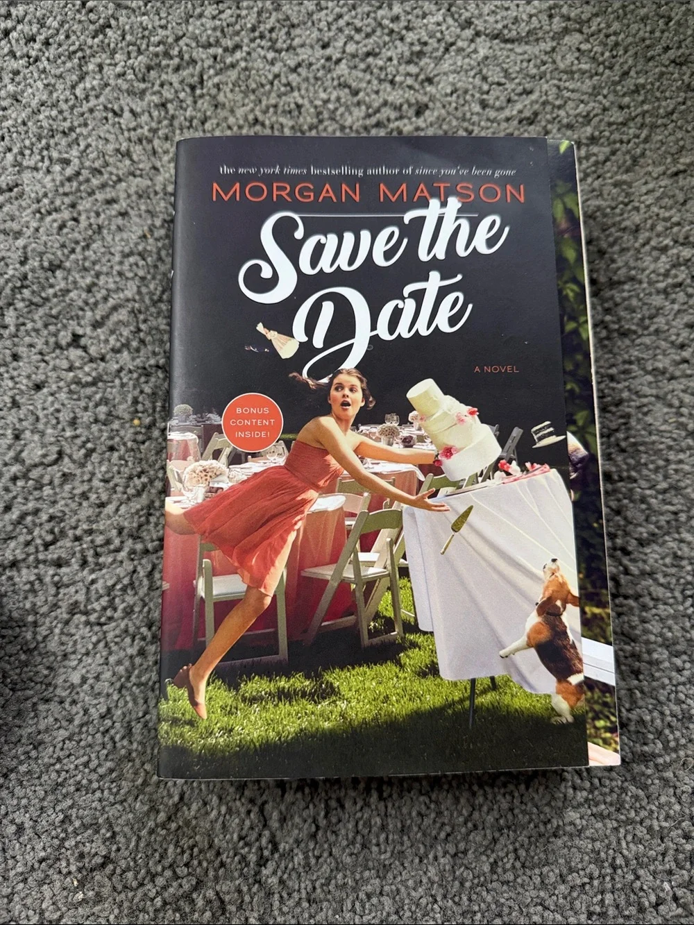 Save the Date Novel